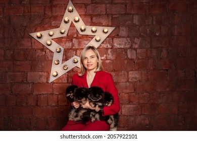 Smiling Pretty Business Woman In Red Jacket Holding Cute Puppies Of Pomeranian Spitz Breed Dog. Owner Or Breeder With Litter Of Puppies.