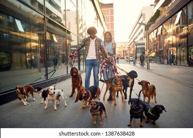 Smiling Professional Couple Dog Walker In The Street With Lots Of Dogs
