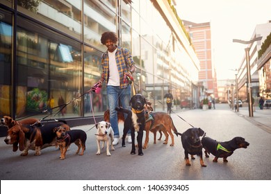 Smiling professional dog walker man in the street with lots of dogs