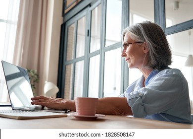 Smiling Professional Mature Middle Aged Business Woman Using Laptop Computer Sitting At Workplace Desk. Happy Senior Old Lady 60s Grey-haired Businesswoman Executive Working On Pc At Home From Office.