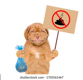 Smiling Puppy Holds Plastic Bag And Sign 