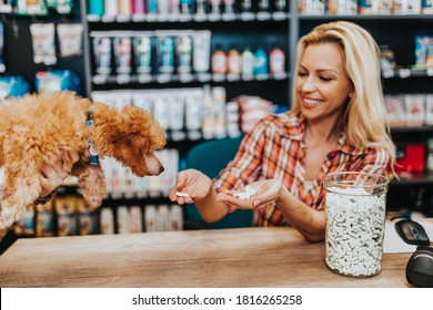 Smiling saleswoman working in pet shop. 