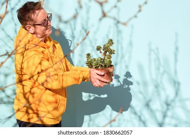 Smiling Senior Activity Stylish Woman Florist Small Business Flower Shop Owner Hold Succulent Plant In Flower Pot.