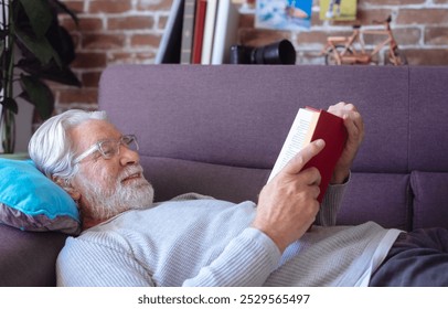 Smiling senior bearded man with eyeglasses relaxing on sofa at home lying down and reading a book. Retirement lifestyle concept