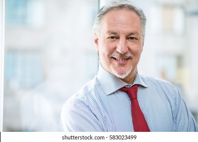 Smiling Senior Businessman Portrait