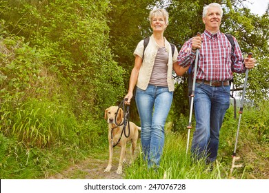 Smiling Senior Couple With Dog On A Hike In A Forest