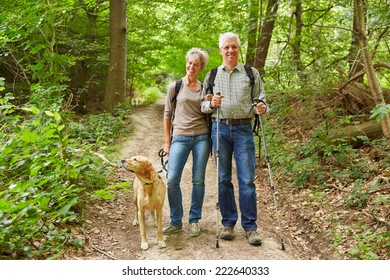 Smiling Senior Couple On A Hike Walking With A Dog In A Forest