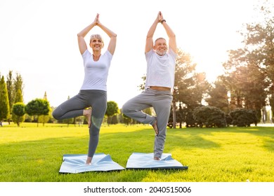 Smiling Senior Family Couple Doing Partner Yoga Exercises On Green Lawn In Park Standing In Tree Vrksasana Pose, Positive Mature Man And Woman Working Out On Open Air. Mental Health Concept