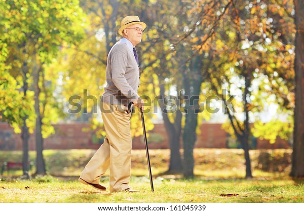 Smiling senior gentleman walking with a cane in a\
park, in autumn