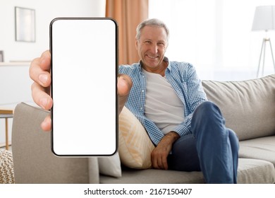 Smiling senior man showing big blank smartphone with white screen at camera while sitting on couch at home, happy elderly male recommending mobile website or app, creative collage, mockup