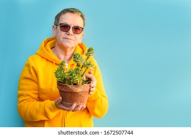 Smiling Senior Woman Florist Small Business Flower Shop Owner. Focus On Succulent Plant In Flower Pot.