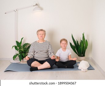 Smiling senior woman meditating relaxing with her granddaughter and white cat. Granny and little girl in yoga pose doing breathing exercises at home. Old age tranquility generation life style concept.