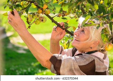 Smiling Senior Woman Near Tree. Happy Lady Outdoors.