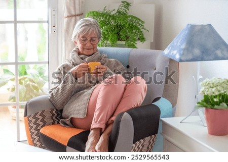 Similar – Image, Stock Photo Elderly woman sitting on couch and using mobile phone at home