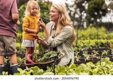 Smiling single mother showing her kids a fresh carrot while harvesting on an organic farm. Happy young mother of two gathering fresh vegetables into a basket with her children.