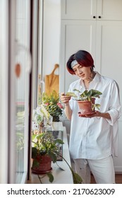 Smiling Stylish Asian Guy Holding And Caring For The Plant At His Flat