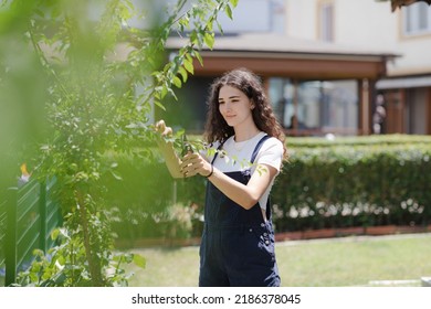 Smiling teen girl gardener with curly hair pruning trees in the yard near her house. Young woman with pruner or pruning shears cutting branches at summer garden. - Powered by Shutterstock