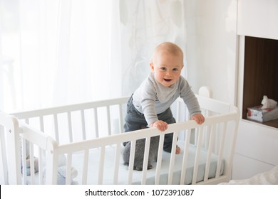 Smiling toddler boy, playing with little rabbit in crib, smiling happily - Powered by Shutterstock - Get 15% off with code: PIKWIZARD15