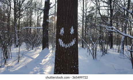 Smiling tree.