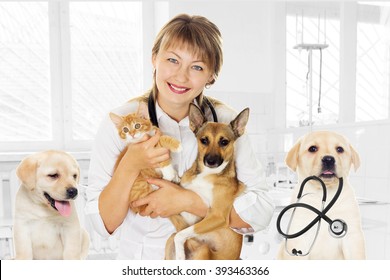 Smiling Vet And Puppy And Kitten In Clinic