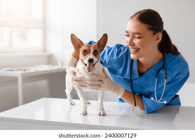 Smiling veterinarian in blue scrubs enjoying a light-hearted moment with a happy Jack Russell Terrier during a routine check-up in a bright clinic