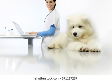 Smiling Veterinarian Examining Dog On Table With Computer In Vet Clinic