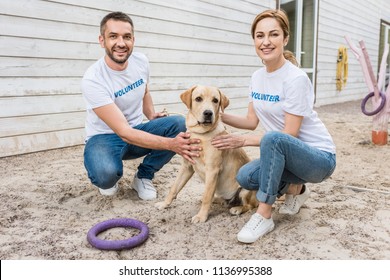 Smiling Volunteers Of Animals Shelter Squatting And Palming Labrador