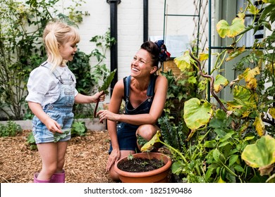 Smiling Woman And Girl In A Garden, Picking Fresh Vegetables.