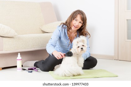 Smiling Woman Grooming A Dog Purebreed Maltese On The Floor At Home