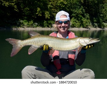 A smiling woman holding a big green and bronze muskie fish horizontally on a boat against a river and a green shoreline on a sunny day - Shutterstock ID 1884720010