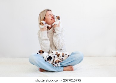 Smiling Woman Holding And Care Many Puppies On White Wall Background With Copy Space For Text. Happy Woman Play And Strokes Jack Russell Terrier Puppies . Cute Pets. Funny Puppies With Owner Indoor