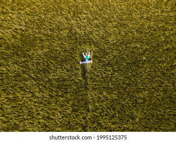 Smiling Woman Laying Down In Wheat Field Overhead Top View