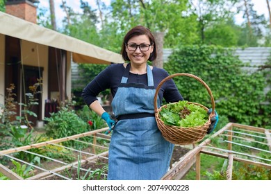 Smiling Woman Looking At Camera With Basket Of Fresh Lettuce And Arugula Leaves