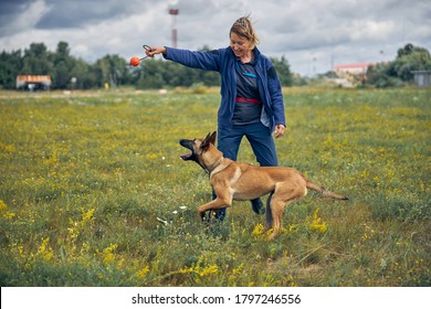 Smiling Woman Professional Dog Trainer Playing With Detection Dog Outdoors In Grassy Field