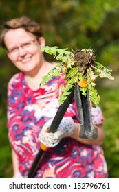 Smiling Woman Pulling Weeds Out, Dandelion With A Roots, Vertical Format