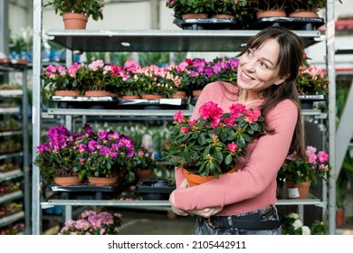 Smiling Woman Shopping Azalea Potted Indoor House Plant In Warehouse Garden Center. Production Greenhouse With Blooming Plant.  Female Choosing Low Maintenance Evergreen Shrub Baring Colourful Flower