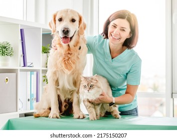 Smiling woman veterinarian with golden retriever dog and fluffy cat at work in clinic - Shutterstock ID 2175150207