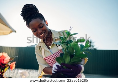 Smiling young african american woman gardener wearing apron transplanting pot plants while working in a greenhouse. Professional florist taking care of the flowers and working in a plant nursery.