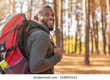 Smiling young african man wearing backpack standing on autumn forest trail, looking aside, hiking alone, copy space