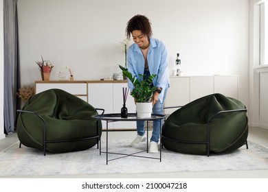 Smiling Young Black Woman Putting Vase With Plant On Coffee Table. Casual Interior Designer Taking Care Of Coziness In Stylish Apartment Creating Atmosphere Moving In New House. Domestic Decor Concept