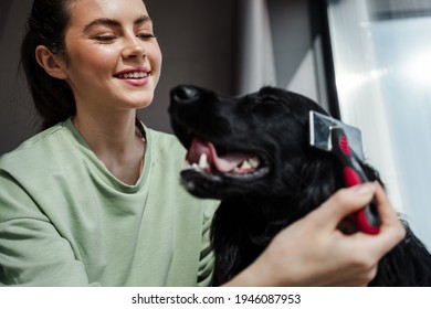 Smiling Young Brunette Woman Petting Her Dog At Home, Brushing Her Dogs Fur