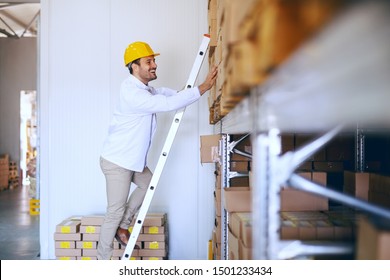 Smiling young Caucasian male blue collar worker climbing ladder and checking on goods in boxed in warehouse. - Powered by Shutterstock