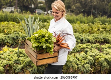Un joven chef sonriente que lleva un cajón lleno de verduras recién recolectadas en una granja orgánica. Chica autosustentable abandonando un campo agrícola con una variedad de productos frescos.
