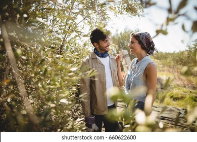 Smiling young couple amidst trees on sunny day at olive farm - Powered by Shutterstock