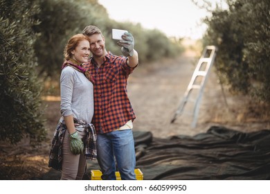 Smiling young couple taking selfie while working at olive farm - Powered by Shutterstock