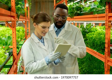 Smiling young interracial greenhouse engineers in lab coats and protective goggles using tablet while maintaining ambient environmental controls