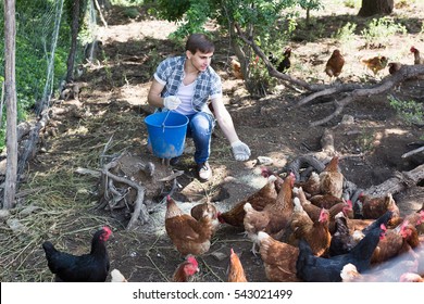 Smiling Young Spanish Man Farmer Strewing Bird Forage On Country Yard With Chickens 