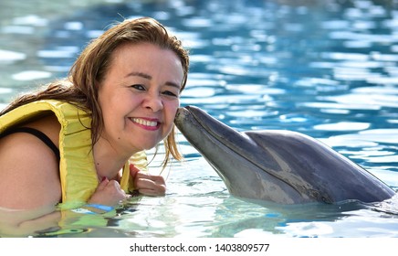 465 Kissing dolphin Images, Stock Photos & Vectors | Shutterstock