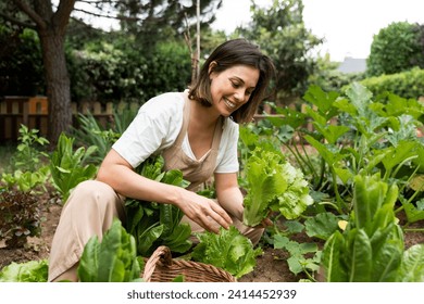 Smiling young woman picking lettuce in vegetable garden during curfew - Powered by Shutterstock