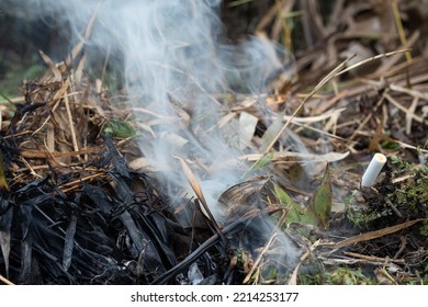 Smoke From Burning Leaf Litter